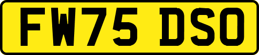 FW75DSO
