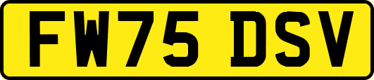 FW75DSV