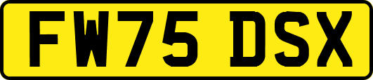 FW75DSX