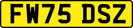 FW75DSZ