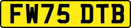 FW75DTB