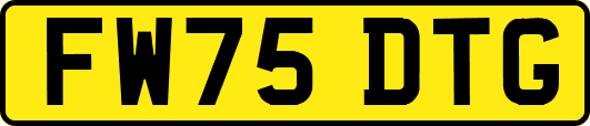 FW75DTG