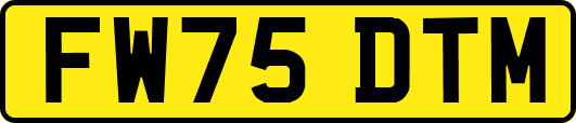 FW75DTM