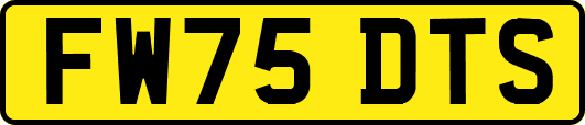 FW75DTS