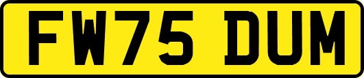 FW75DUM