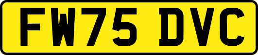FW75DVC