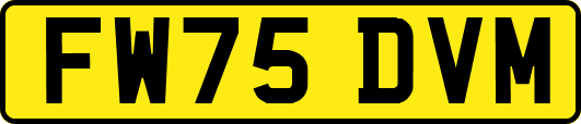 FW75DVM