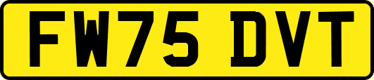 FW75DVT