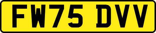 FW75DVV