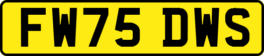 FW75DWS