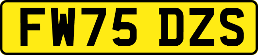 FW75DZS
