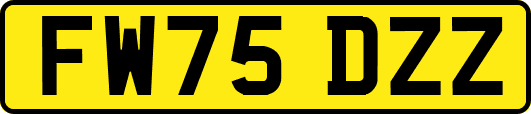 FW75DZZ