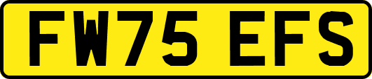 FW75EFS