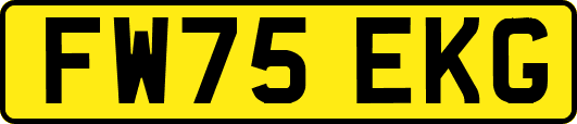 FW75EKG