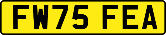 FW75FEA