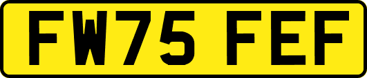 FW75FEF