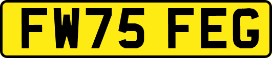 FW75FEG