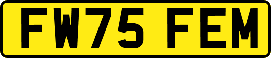 FW75FEM