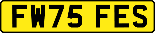 FW75FES