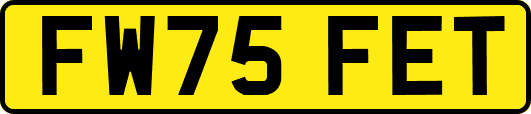 FW75FET