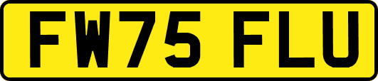 FW75FLU
