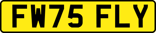 FW75FLY