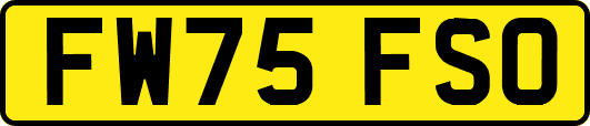 FW75FSO