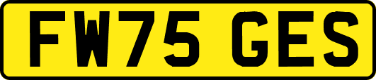 FW75GES
