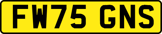 FW75GNS