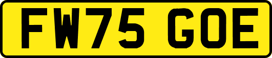 FW75GOE