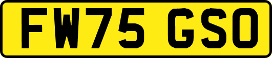 FW75GSO