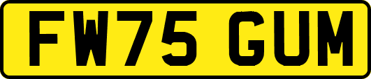 FW75GUM