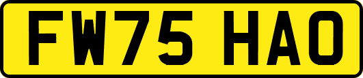 FW75HAO