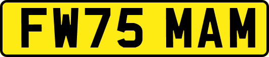 FW75MAM