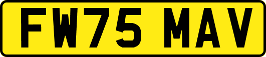 FW75MAV