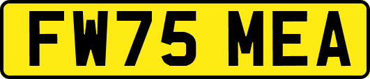FW75MEA