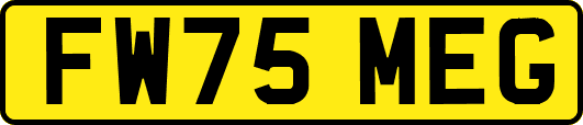 FW75MEG