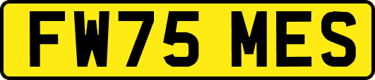 FW75MES