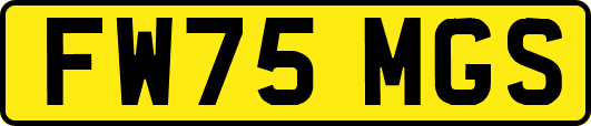 FW75MGS