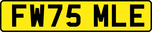 FW75MLE