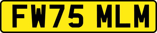 FW75MLM