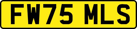 FW75MLS