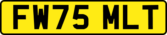 FW75MLT