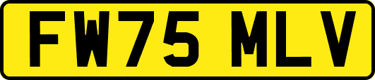 FW75MLV