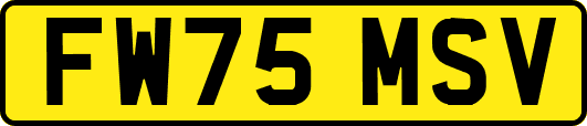 FW75MSV
