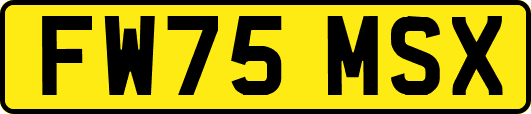 FW75MSX