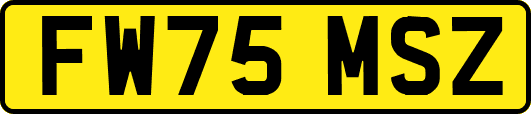 FW75MSZ
