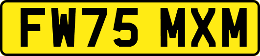 FW75MXM