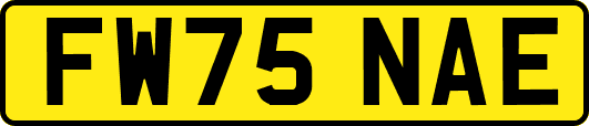 FW75NAE