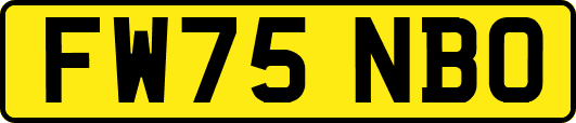 FW75NBO